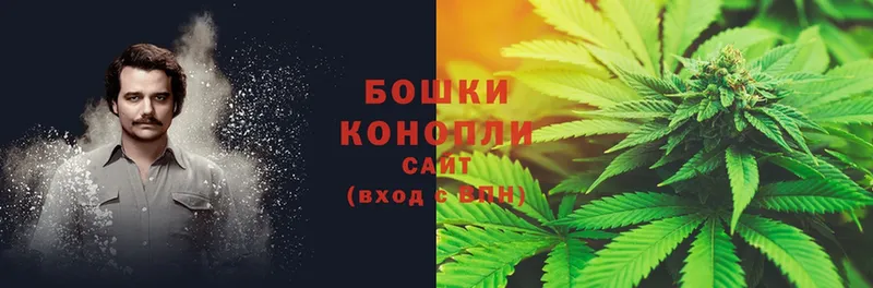 купить закладку  Оленегорск  МАРИХУАНА SATIVA & INDICA 